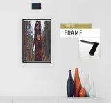 Eliza Dushku - 17" x 11"  Movie Poster